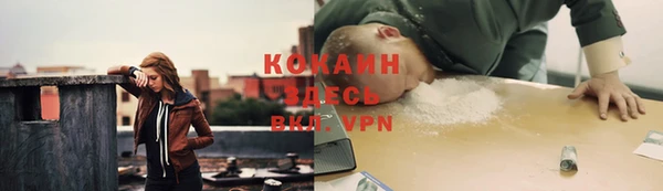 ешки Снежногорск